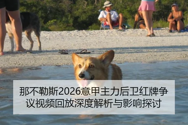 那不勒斯2026意甲主力后卫红牌争议视频回放深度解析与影响探讨
